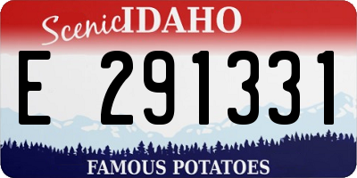 ID license plate E291331