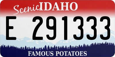 ID license plate E291333