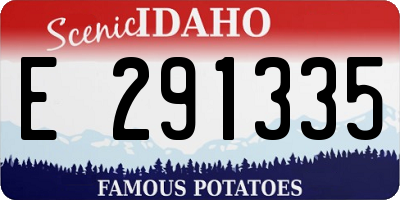 ID license plate E291335