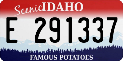ID license plate E291337