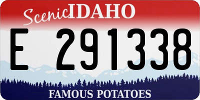 ID license plate E291338
