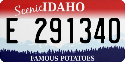 ID license plate E291340