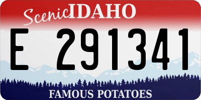 ID license plate E291341