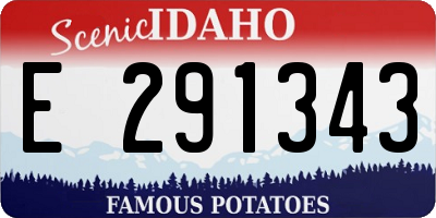 ID license plate E291343