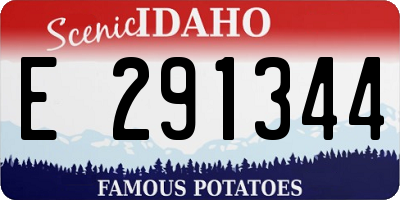 ID license plate E291344