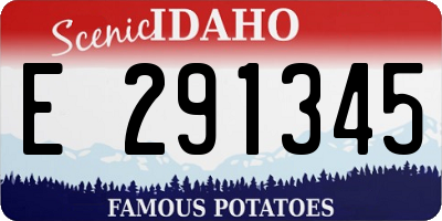 ID license plate E291345