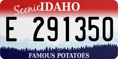 ID license plate E291350