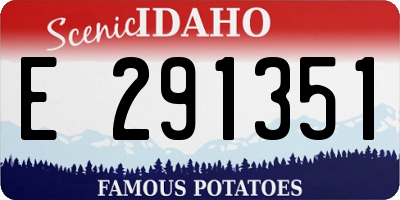 ID license plate E291351