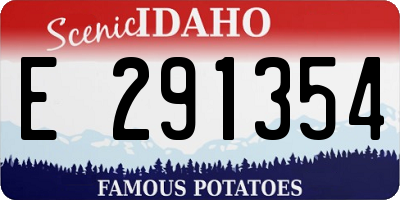 ID license plate E291354