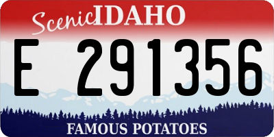 ID license plate E291356