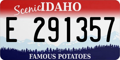 ID license plate E291357