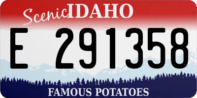ID license plate E291358