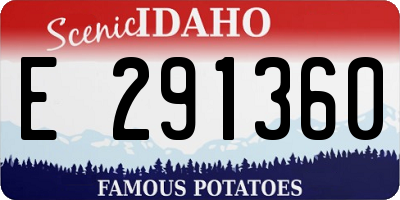 ID license plate E291360