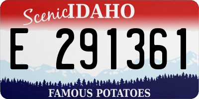 ID license plate E291361