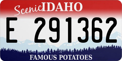 ID license plate E291362