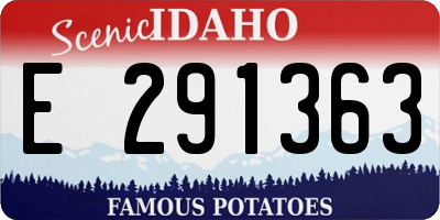 ID license plate E291363