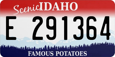 ID license plate E291364