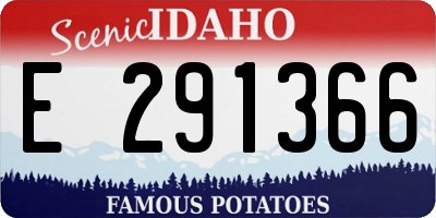 ID license plate E291366