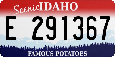ID license plate E291367