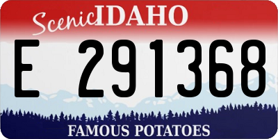 ID license plate E291368