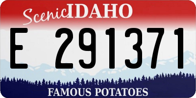 ID license plate E291371