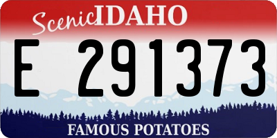 ID license plate E291373