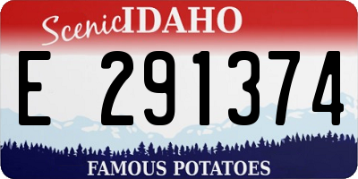ID license plate E291374