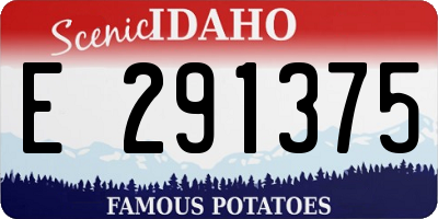 ID license plate E291375