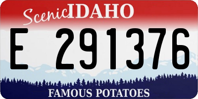 ID license plate E291376