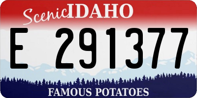 ID license plate E291377
