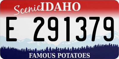 ID license plate E291379