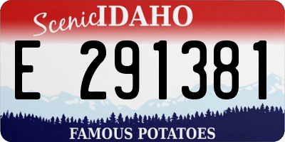 ID license plate E291381
