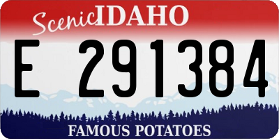ID license plate E291384