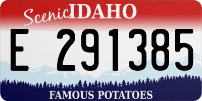 ID license plate E291385
