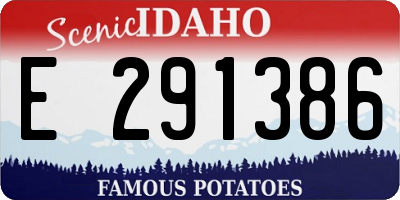 ID license plate E291386