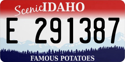 ID license plate E291387