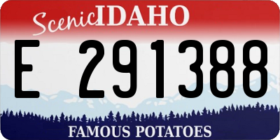 ID license plate E291388
