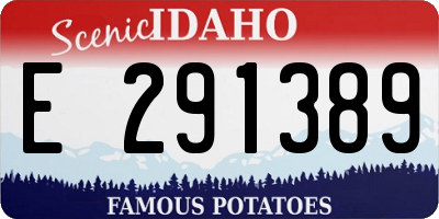 ID license plate E291389