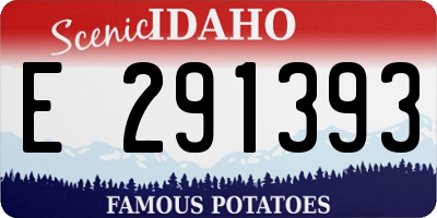 ID license plate E291393