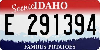 ID license plate E291394
