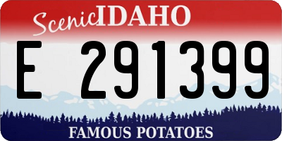 ID license plate E291399