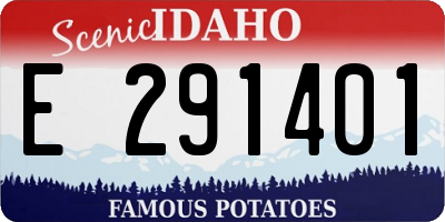 ID license plate E291401
