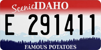 ID license plate E291411