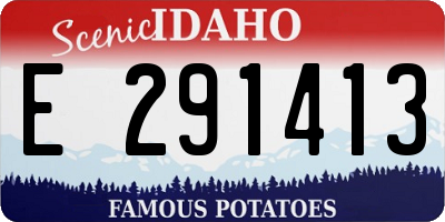 ID license plate E291413