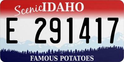 ID license plate E291417
