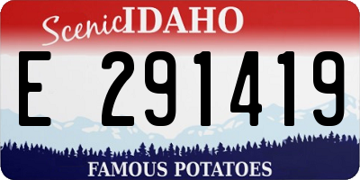 ID license plate E291419