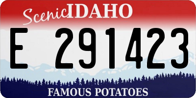 ID license plate E291423
