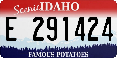 ID license plate E291424
