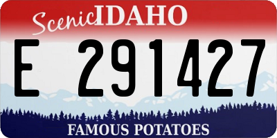 ID license plate E291427
