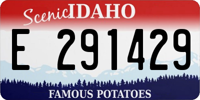 ID license plate E291429